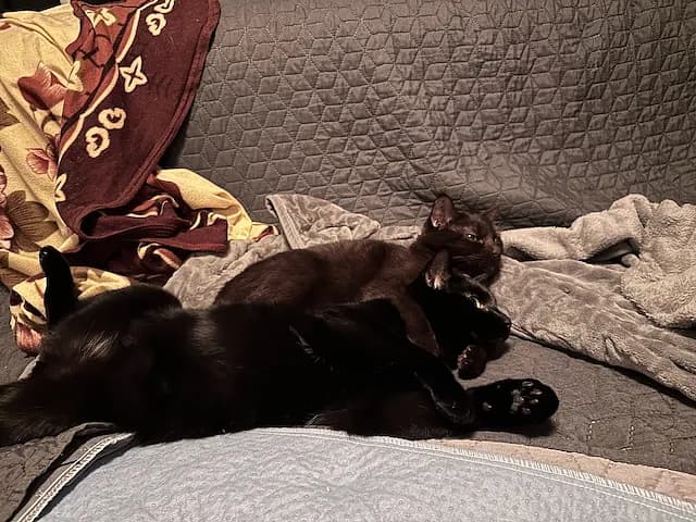 Mor og søn med særligt bånd