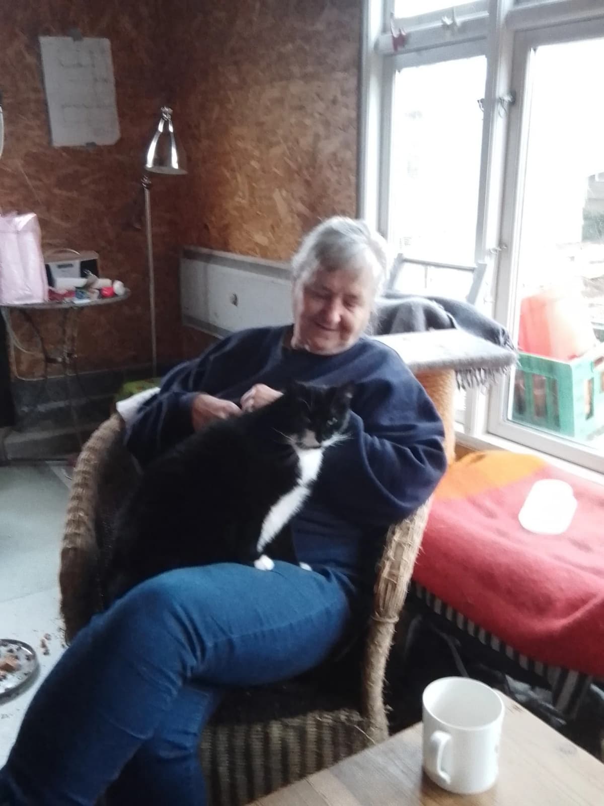 Eva (sort med hvid kind) i Lisbeth's skød - kærlighed fra frivillig