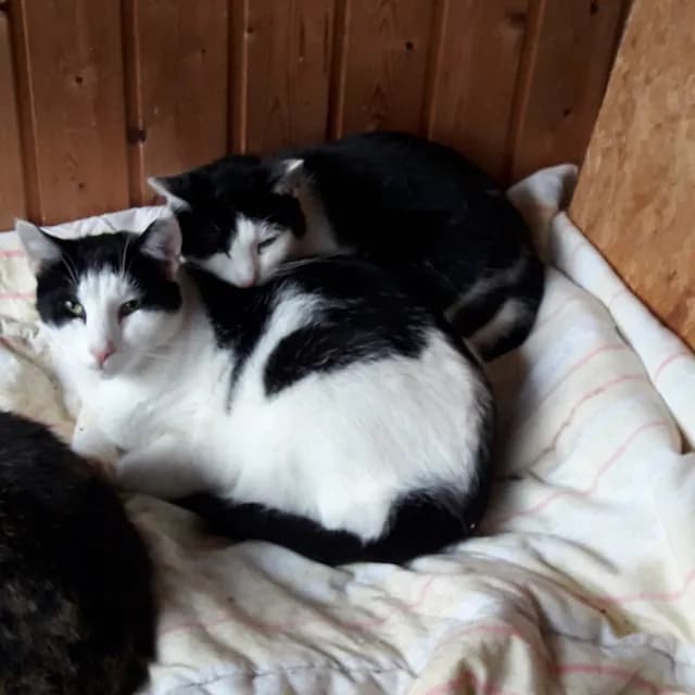 Frederik and Frida together - two hearts that belong together