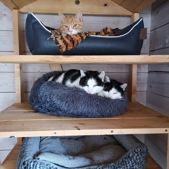 Bonded pair shot - showing their special connection