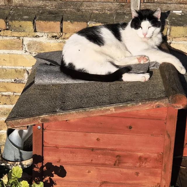 Indoor comfortable setting - relaxed and content together