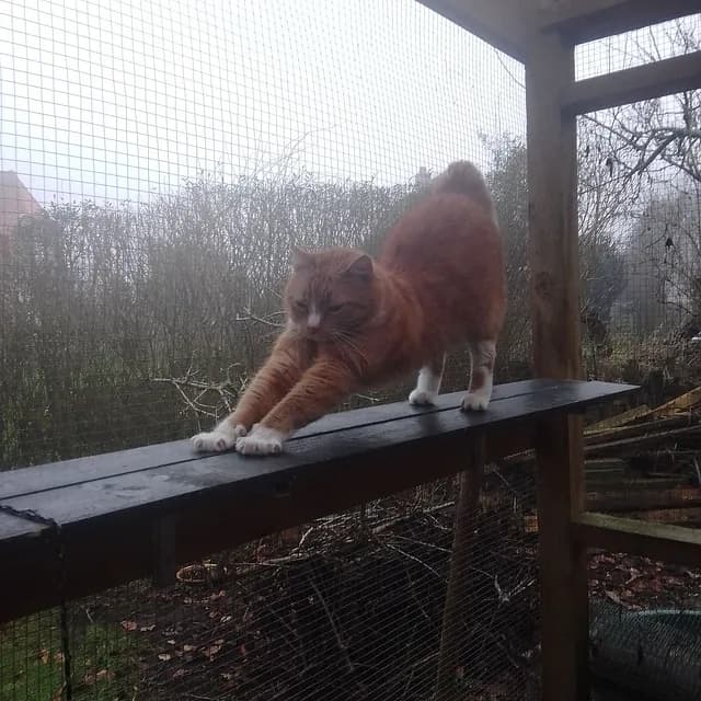 Kevin nyder sit liv i haven