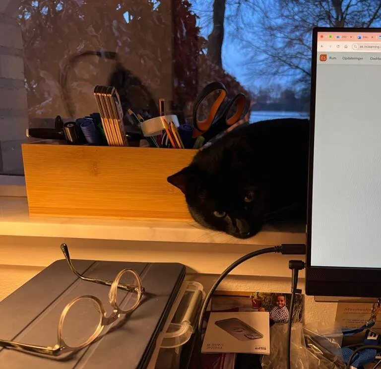 Lukas hviler afslappet bag computerskærm på vindueskarmen