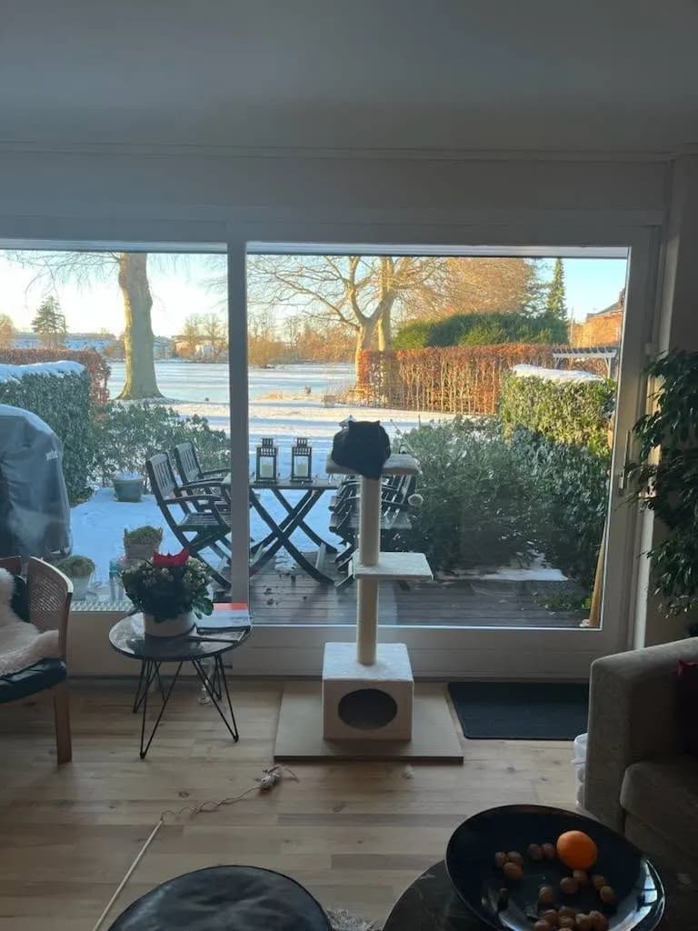 Lukas på kattetårn i stue med udsigt til snedækket vinterhave