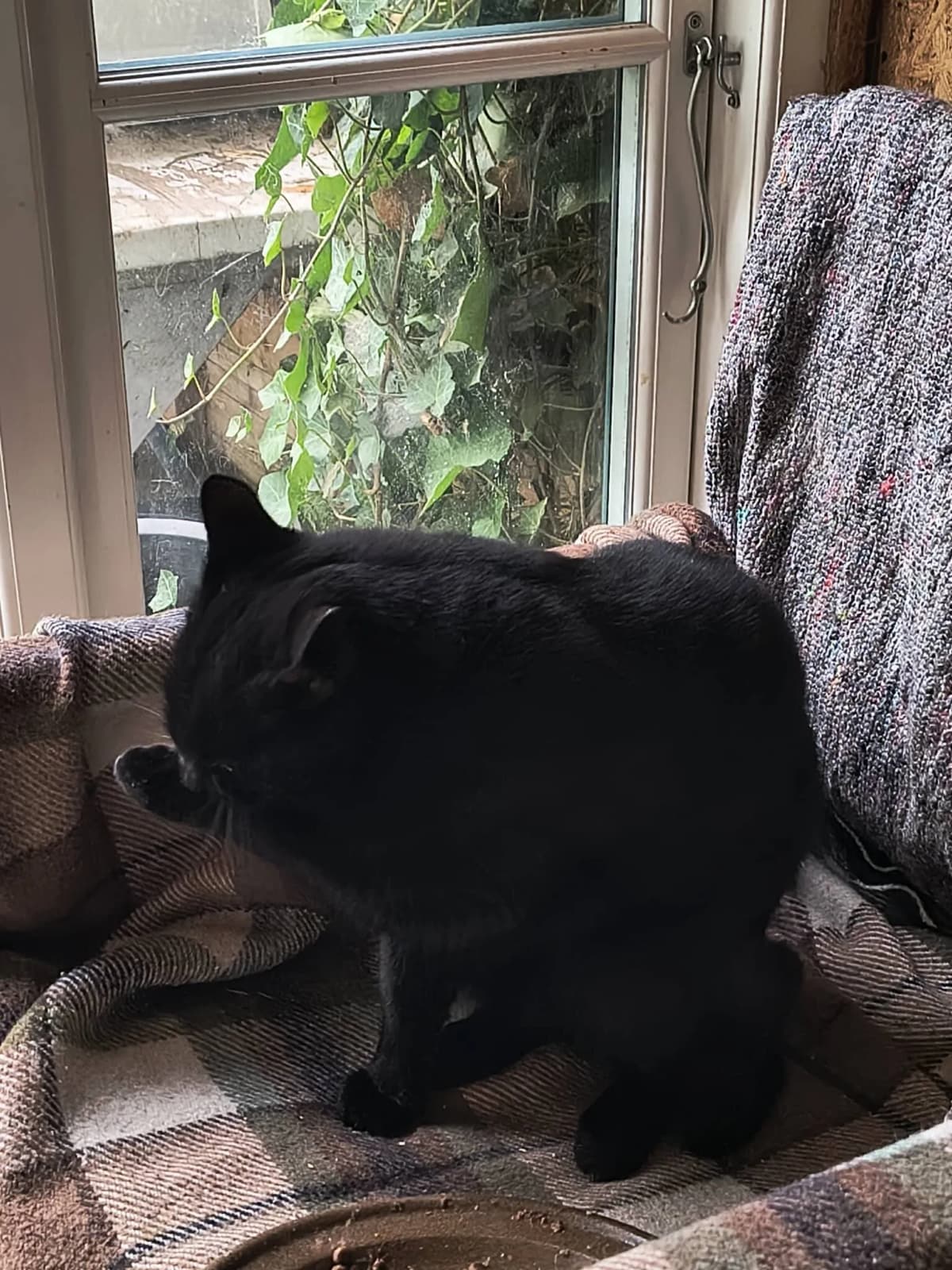 Lukas sidder på ternet tæppe og kigger ud af vinduet i sit nye hjem