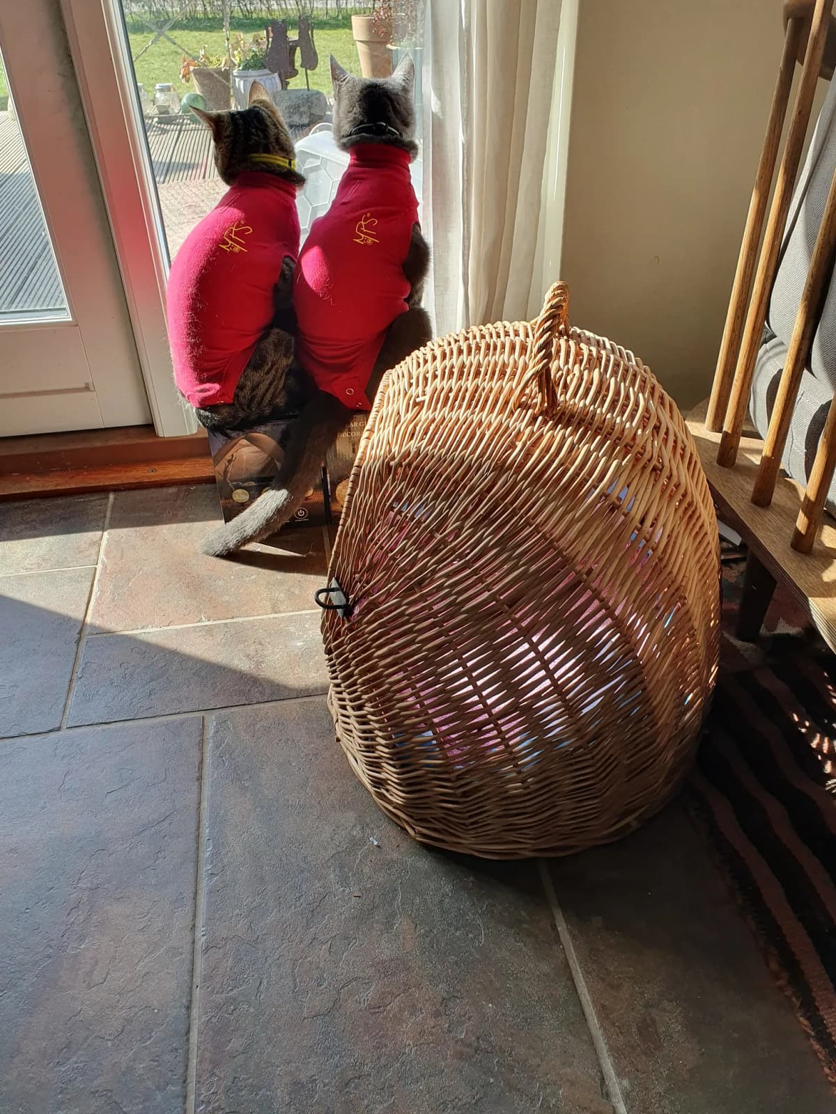 Minnie Mus og Miss Mary i røde trøjer