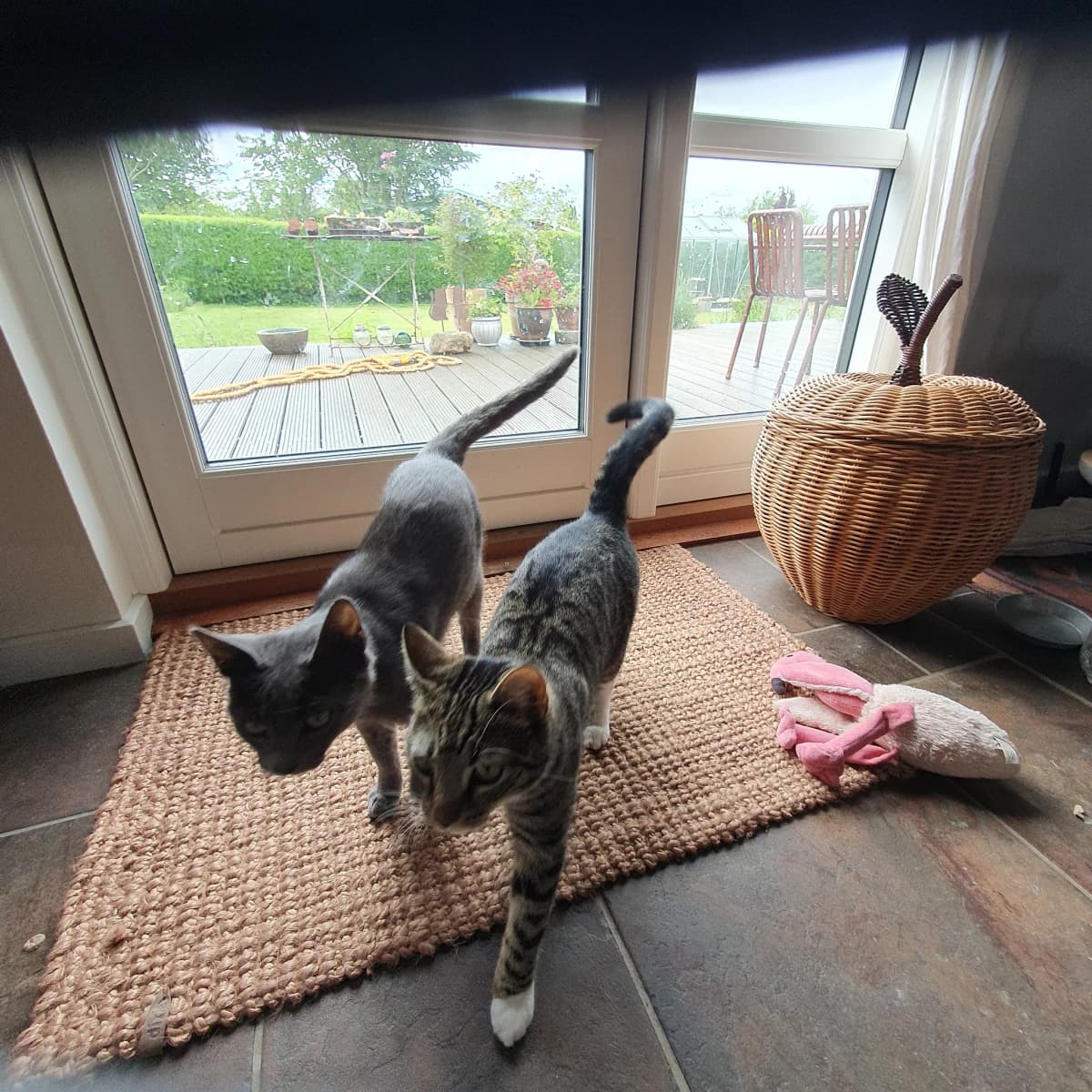 Minnie Mus og Miss Mary på gulvtæppe