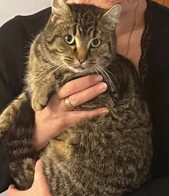 Mismor og hendes unge datter