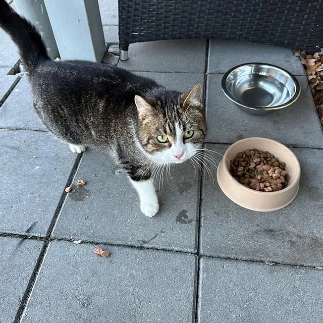 Mismor passer på sin datter