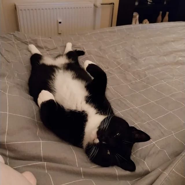 Missemor begynder at vise tillid