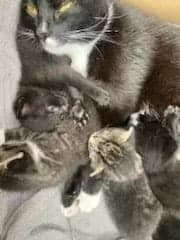 Missemor nyder tryghed