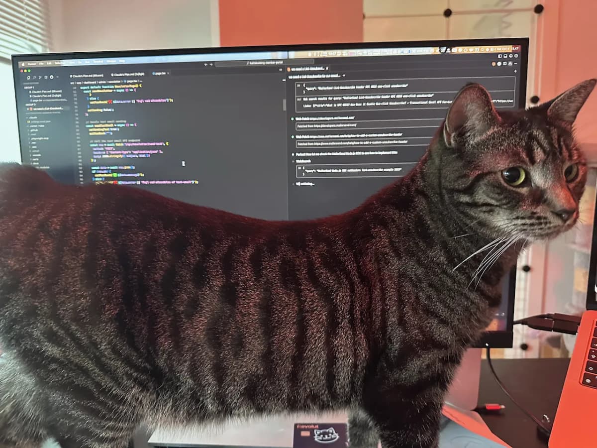 Stribet kat står foran en computerskærm med kode og Claude AI - webudvikling i praksis